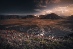 montbromo1 (2)